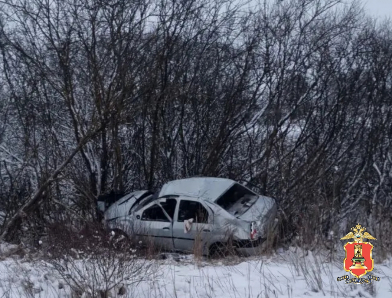 В Тверской области нетрезвый угонщик попал в ДТП