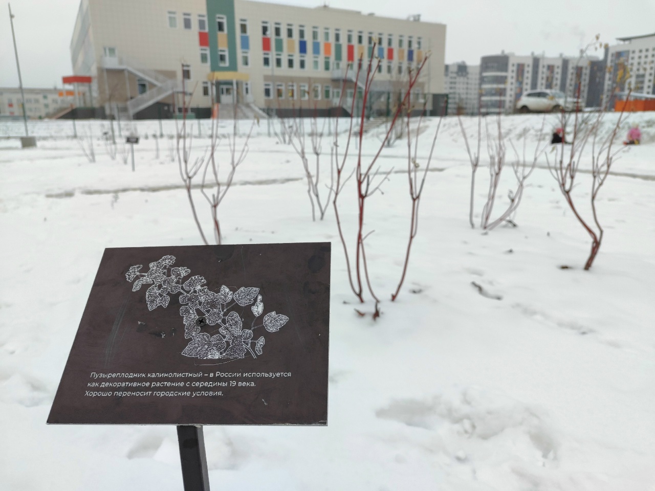 Заводы, больницы, мосты: продолжаем исследовать тверские заброшки