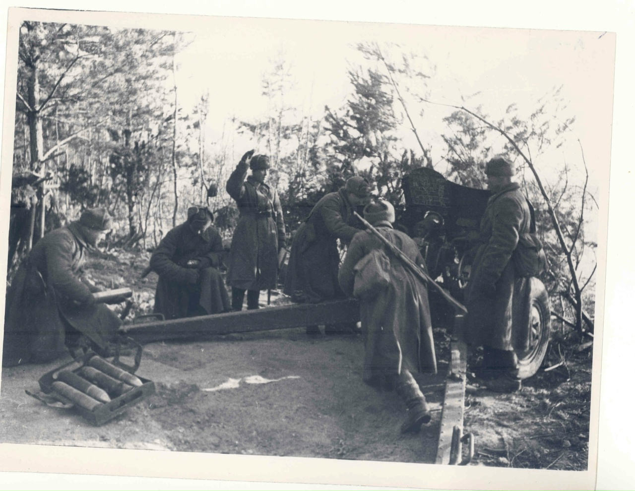 «Бешеный трофей» Гавриила Половчени: как дерзость советских танкистов помогла освободить Андреаполь