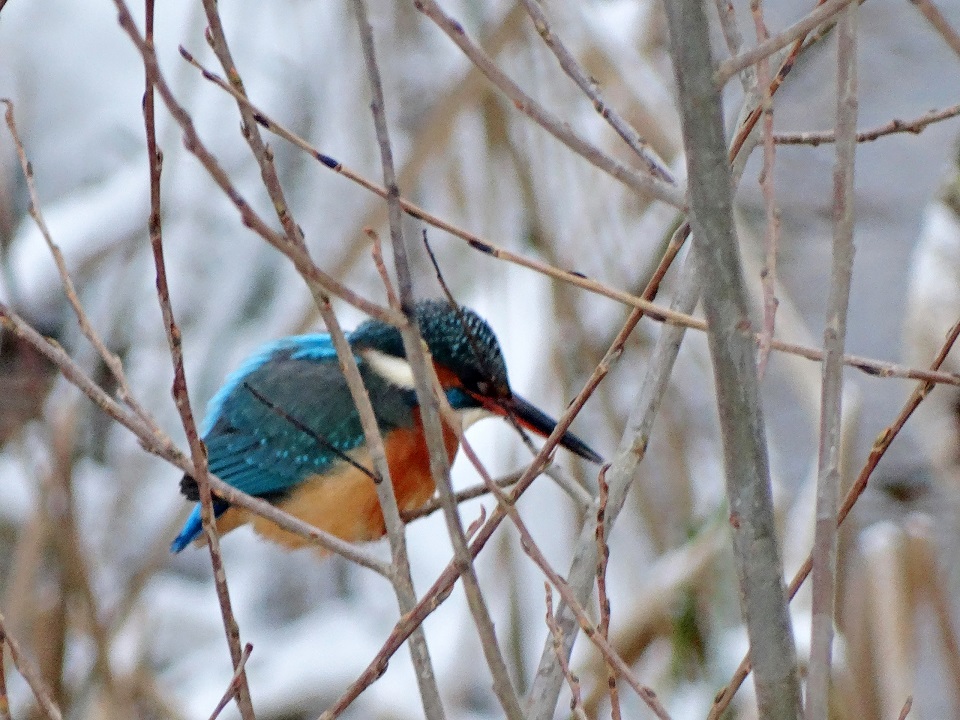 Минобороны РФ плотно займётся призывниками из электронного реестра воинского учёта
