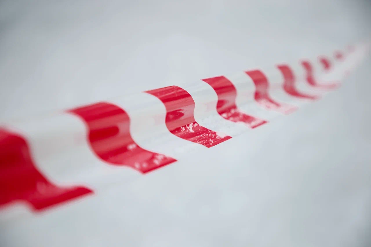 "Первые среди лучших": Конаковский фаянс – шедевры XX века на новой выставке