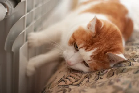 температуру