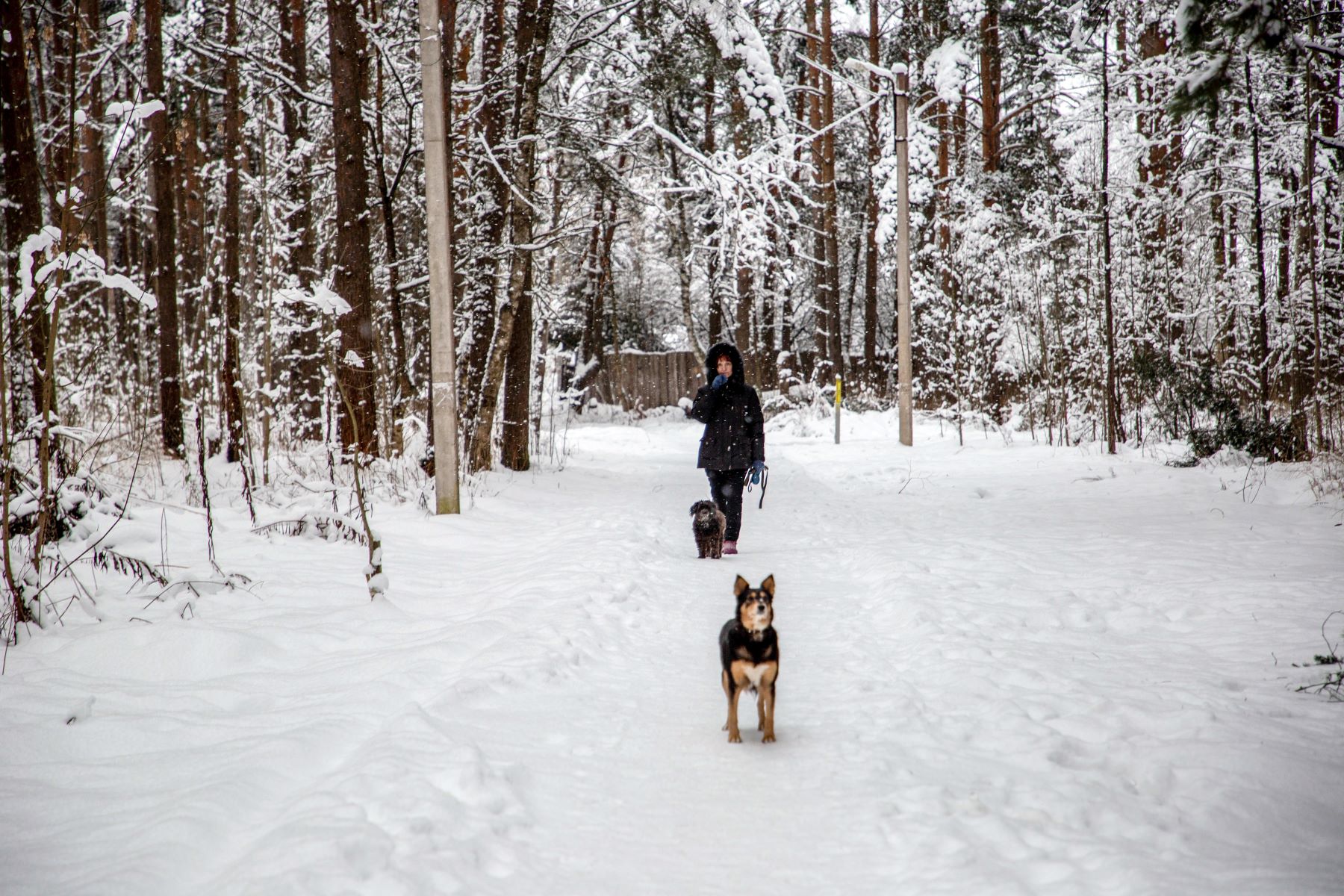 Синоптики уточнили прогноз на январь в Тверской области