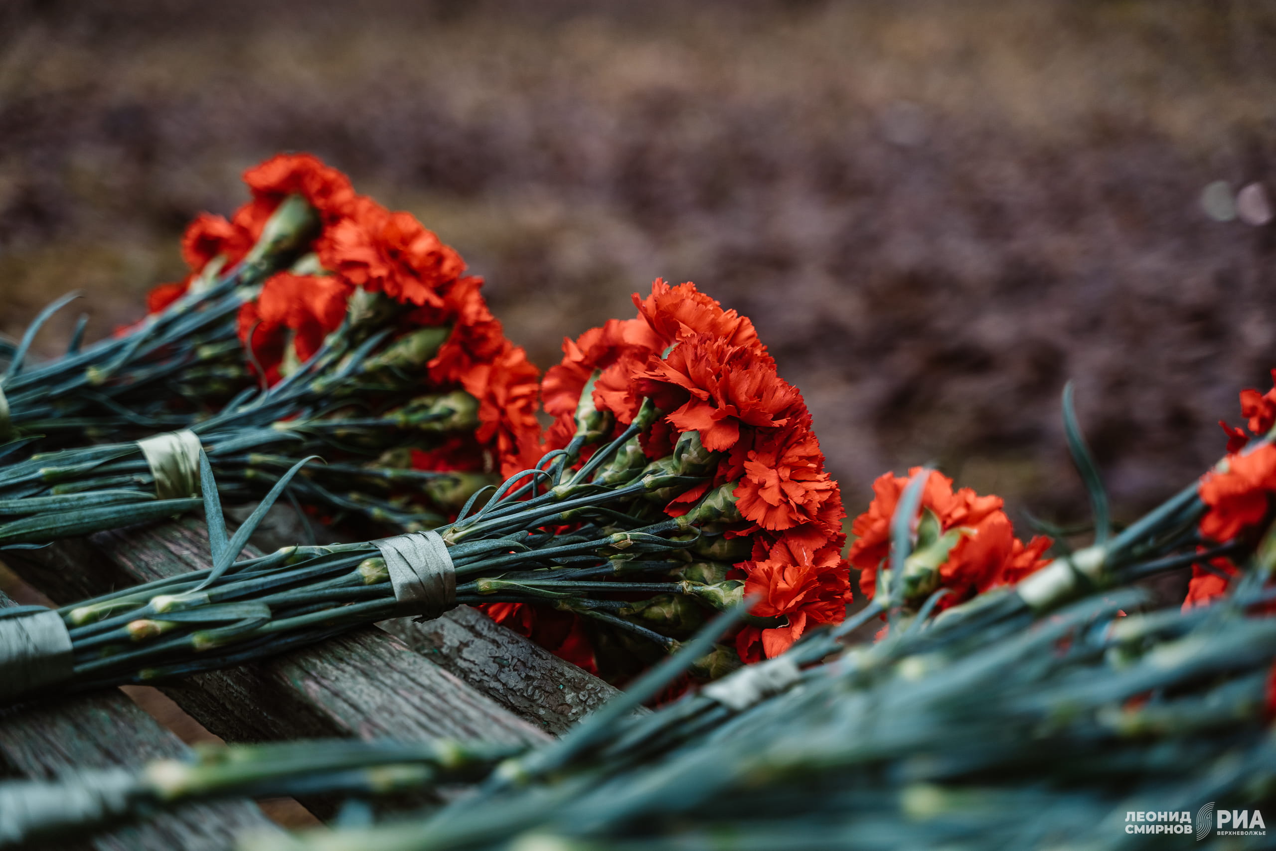 15 января – День освобождения Селижаровского округа от немецко-фашистских захватчиков