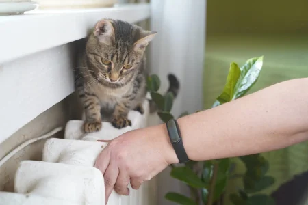 температуру