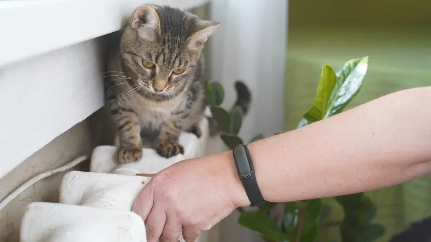 температуру