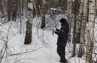 В Тверской области с квадрокоптера обнаружили заросшую землю обнаружили