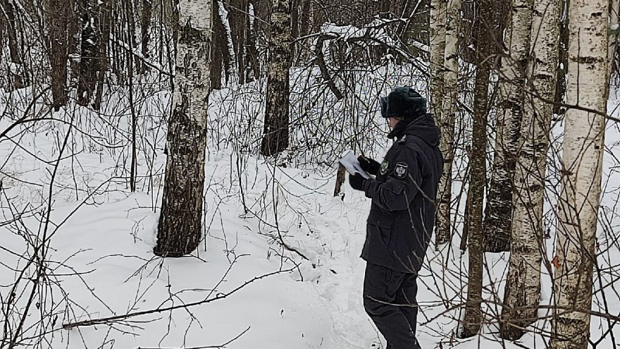 обнаружили