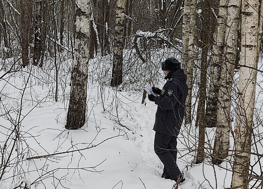 обнаружили