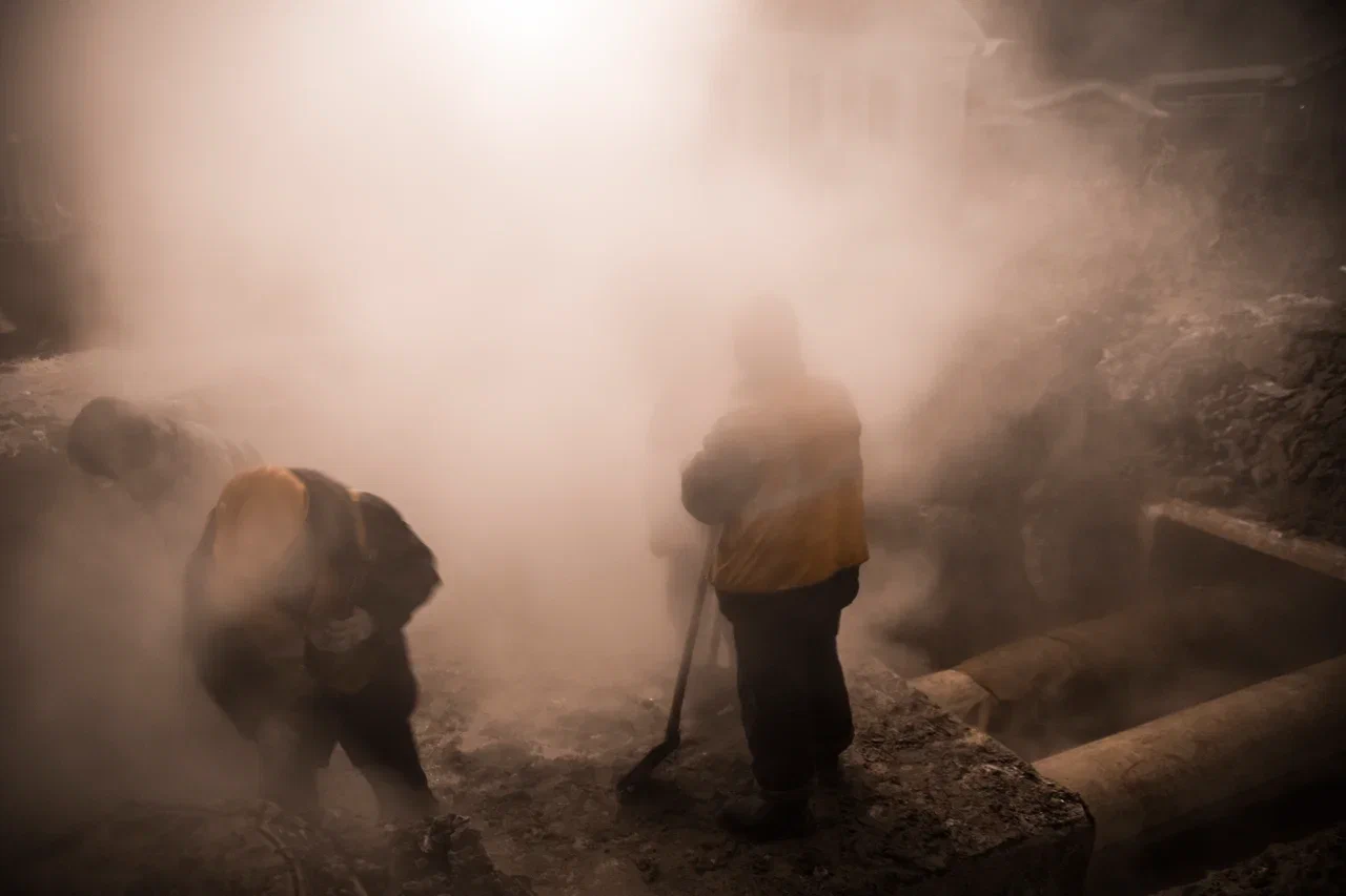 В Твери появилась красивая хищница