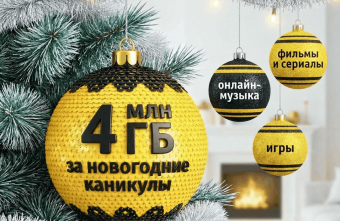 Жители Тверской области в числе регионов, где в новогоднюю ночь активно пользовались домашним интернетом Билайна