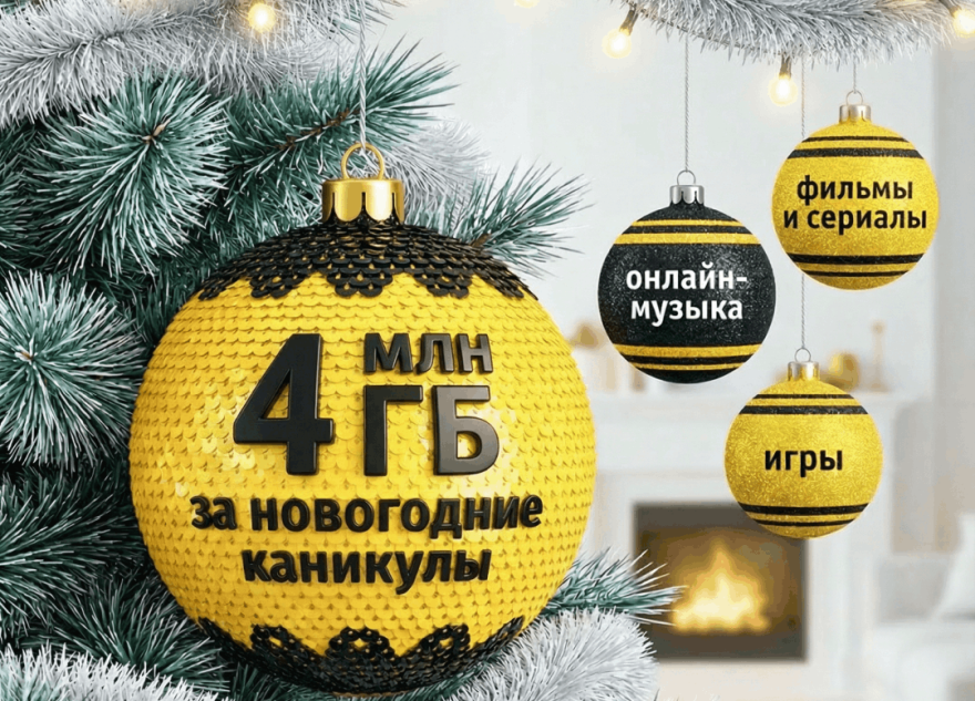 Жители Тверской области в числе регионов, где в новогоднюю ночь активно пользовались домашним интернетом Билайна