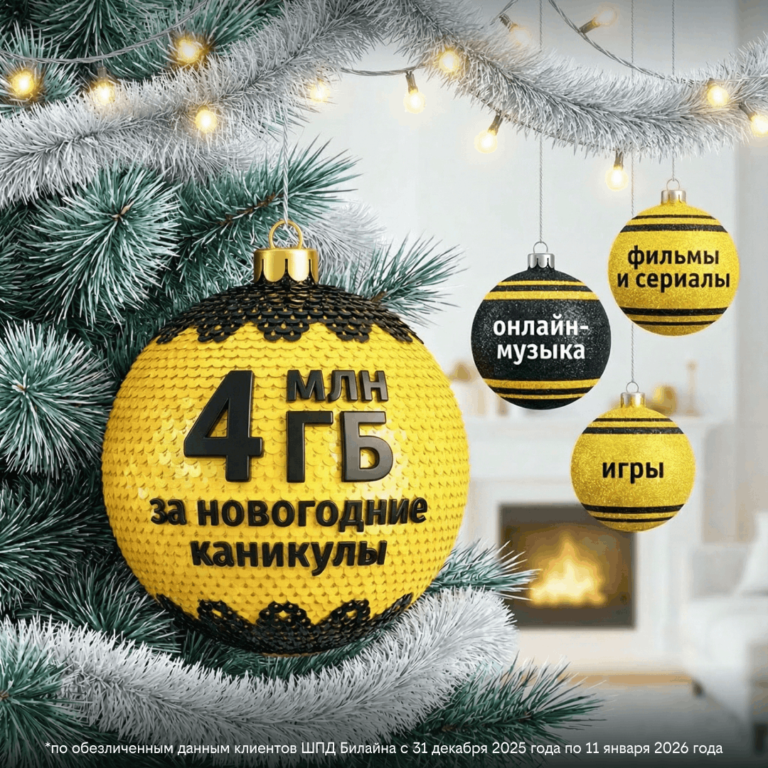 Жители Тверской области в числе регионов, где в новогоднюю ночь активно пользовались домашним интернетом Билайна