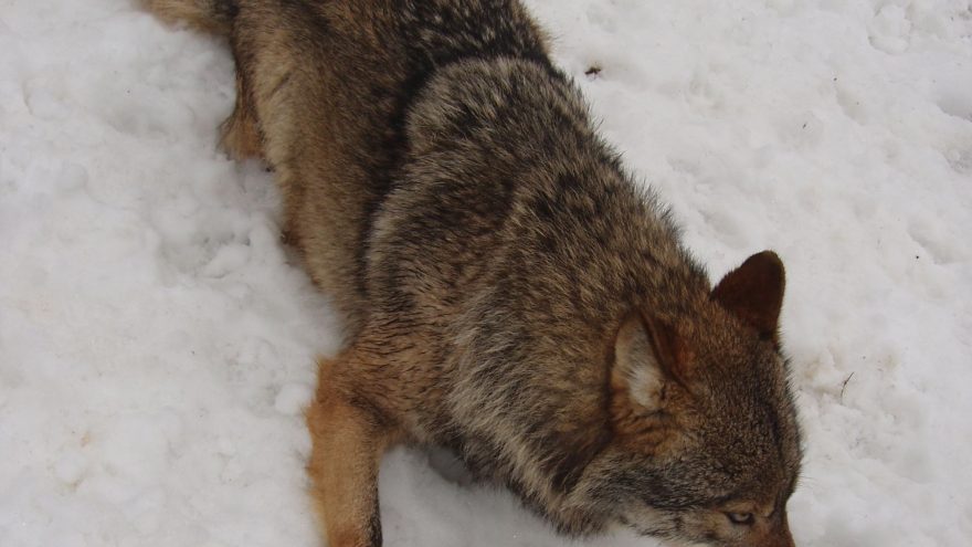 предупредили