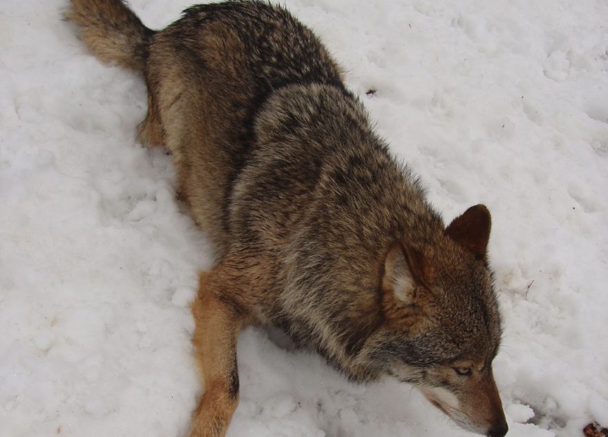предупредили
