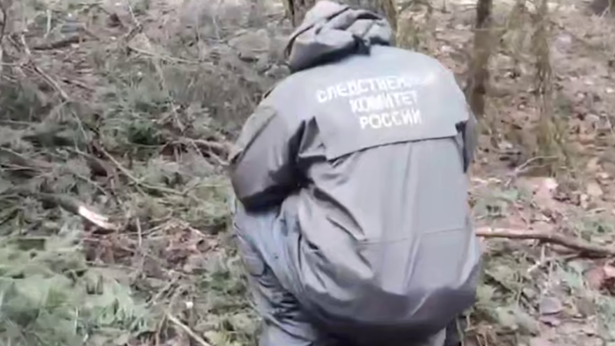 Появилось видео с места где была убита 13-летняя девочка в Тверской области