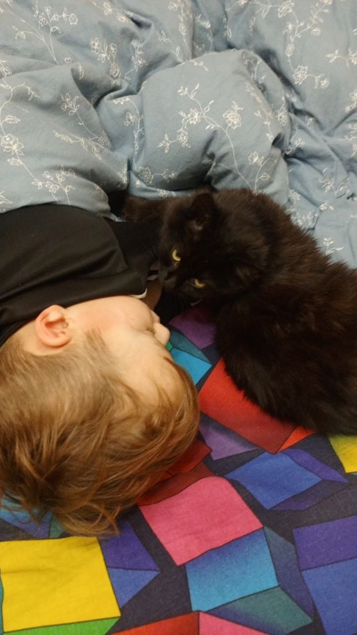 Волонтеры из Тверской области привезли пушистый «привет» с фронта