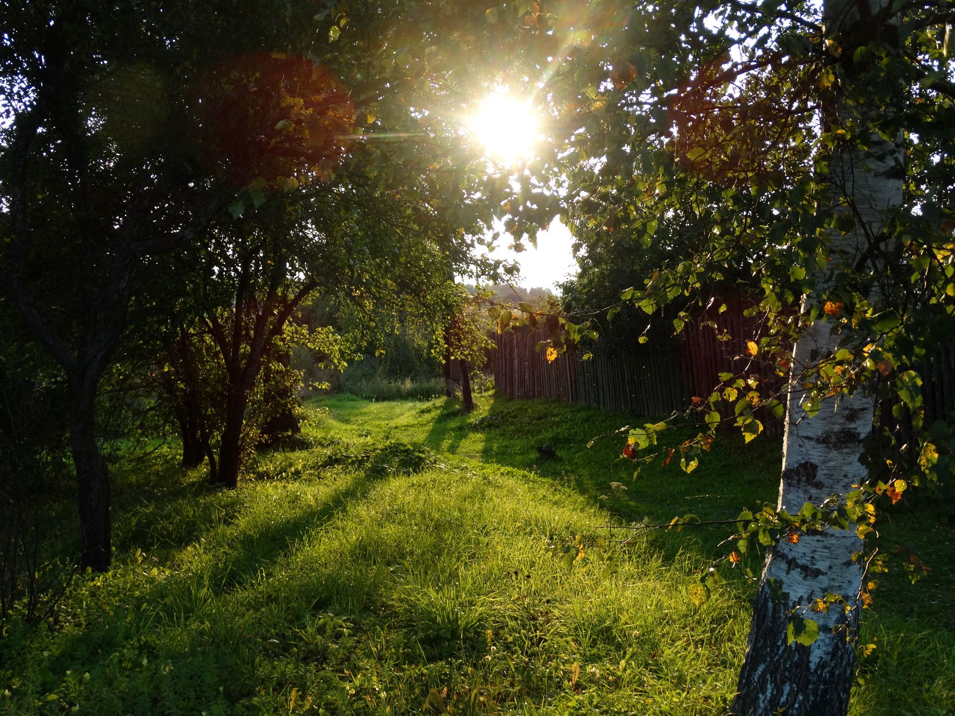 Хулиган из Торжка пытался провернуть трюк с подменой телефона и был пойман