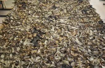 поблагодарили