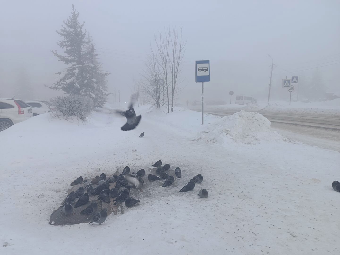 Город в Тверской области окутал необычный морозный туман