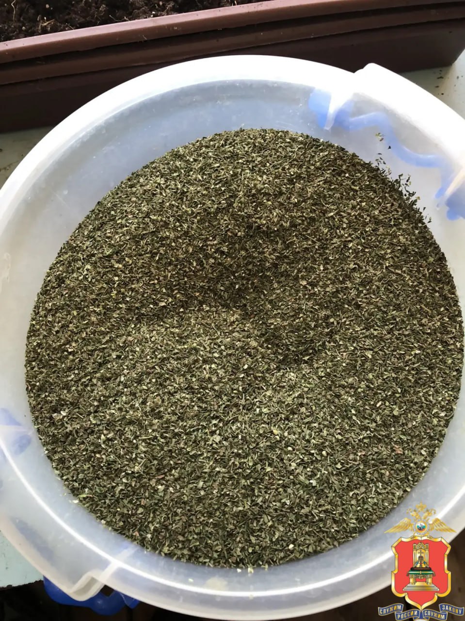 В Тверской области задержали мужчину, который прятал в контейнерах марихуану