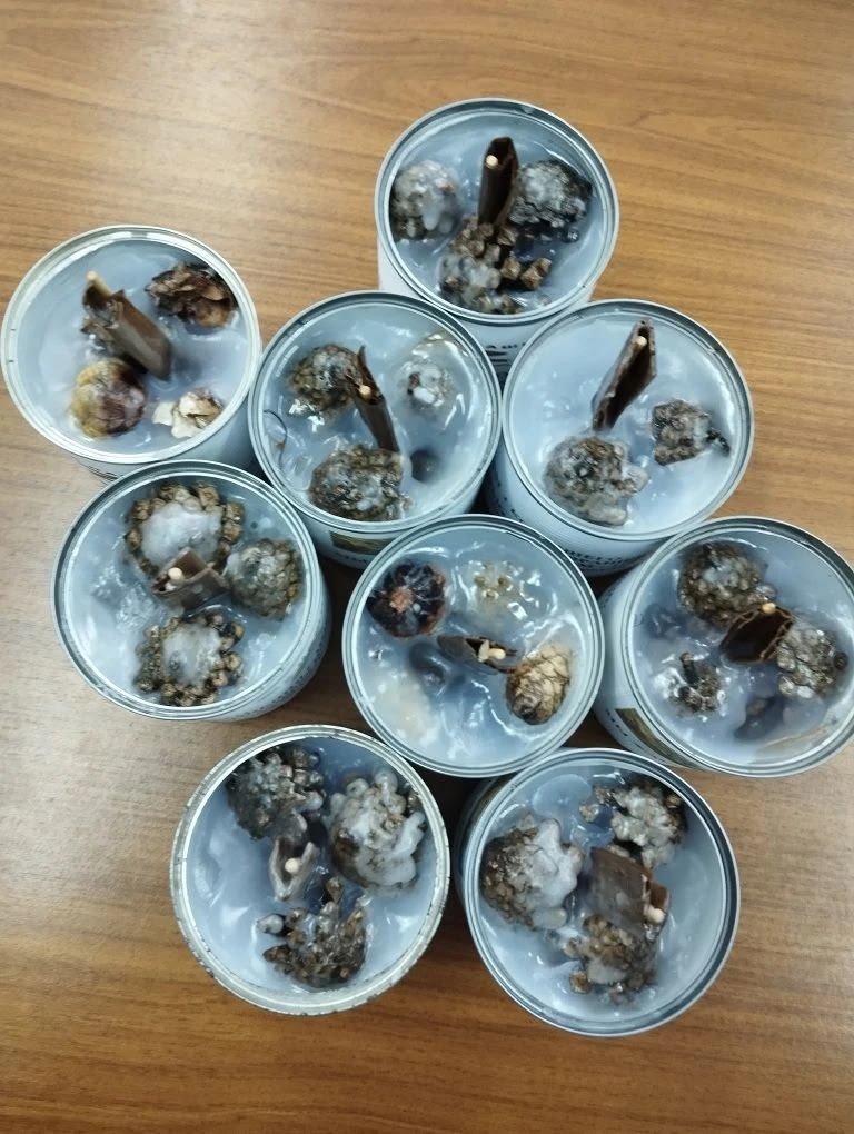 Школьники Тверской области решили поздравить бойцов не только вкусными подарками