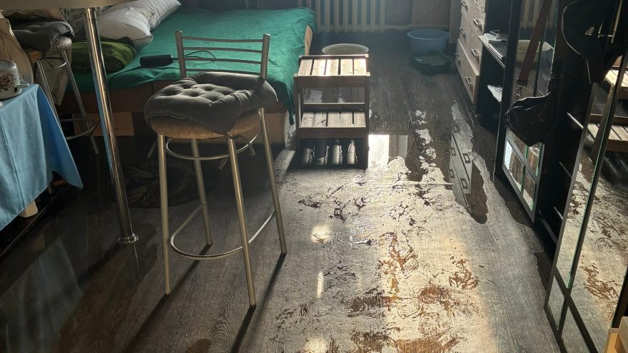 жительница