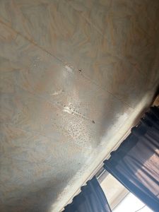 жительница