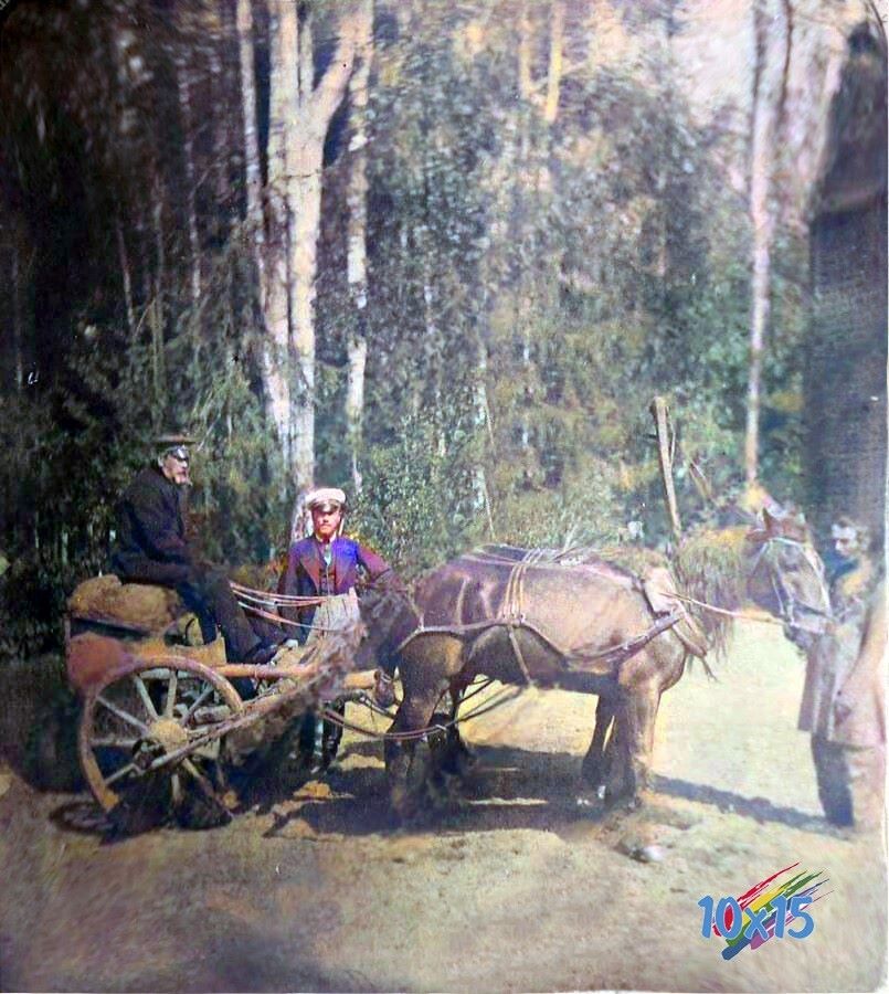 В соцсетях опубликовали уникальный фотоархив усадьбы в Тверской области  