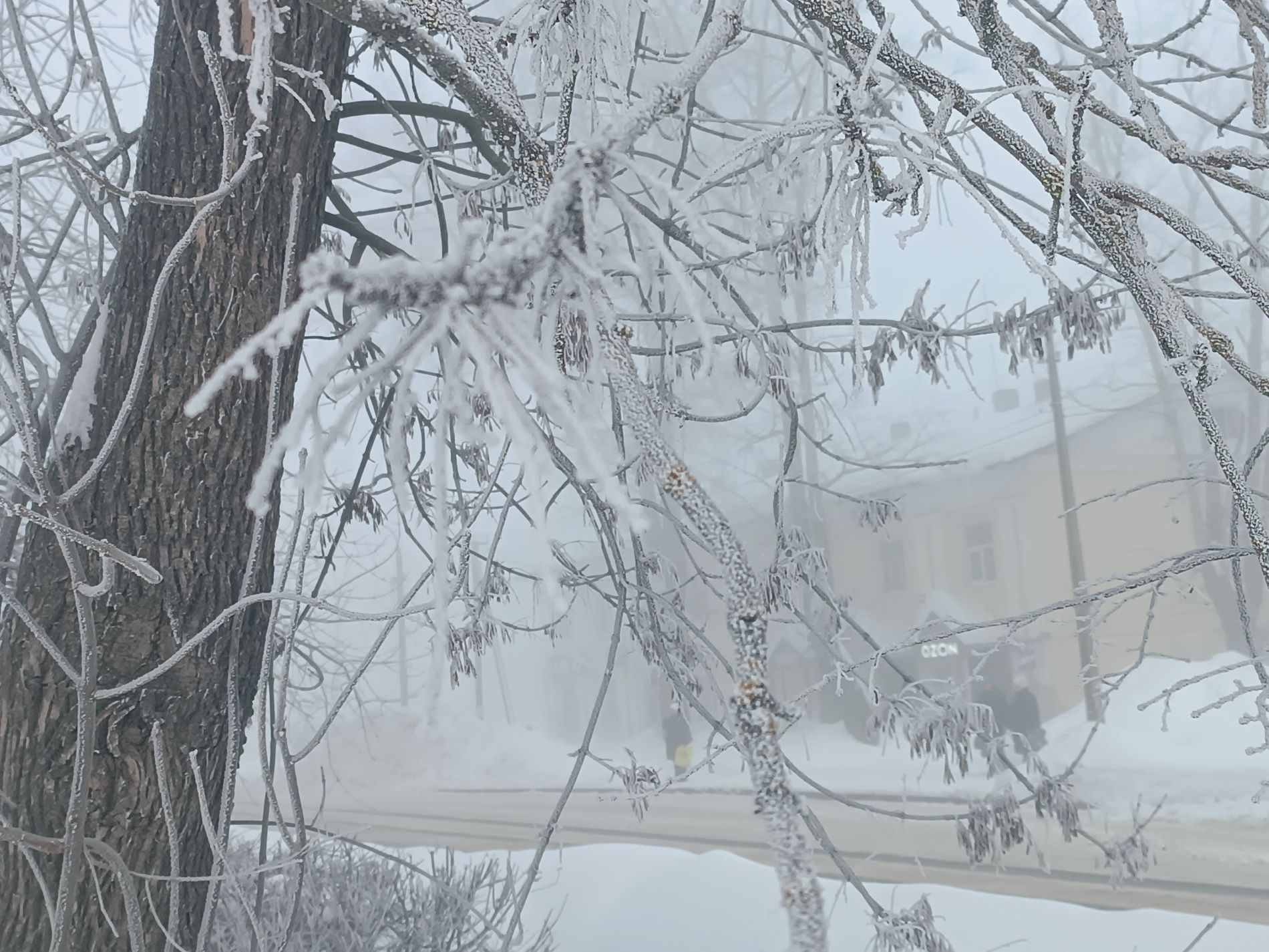 Город в Тверской области окутал необычный морозный туман