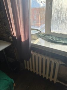 жительница