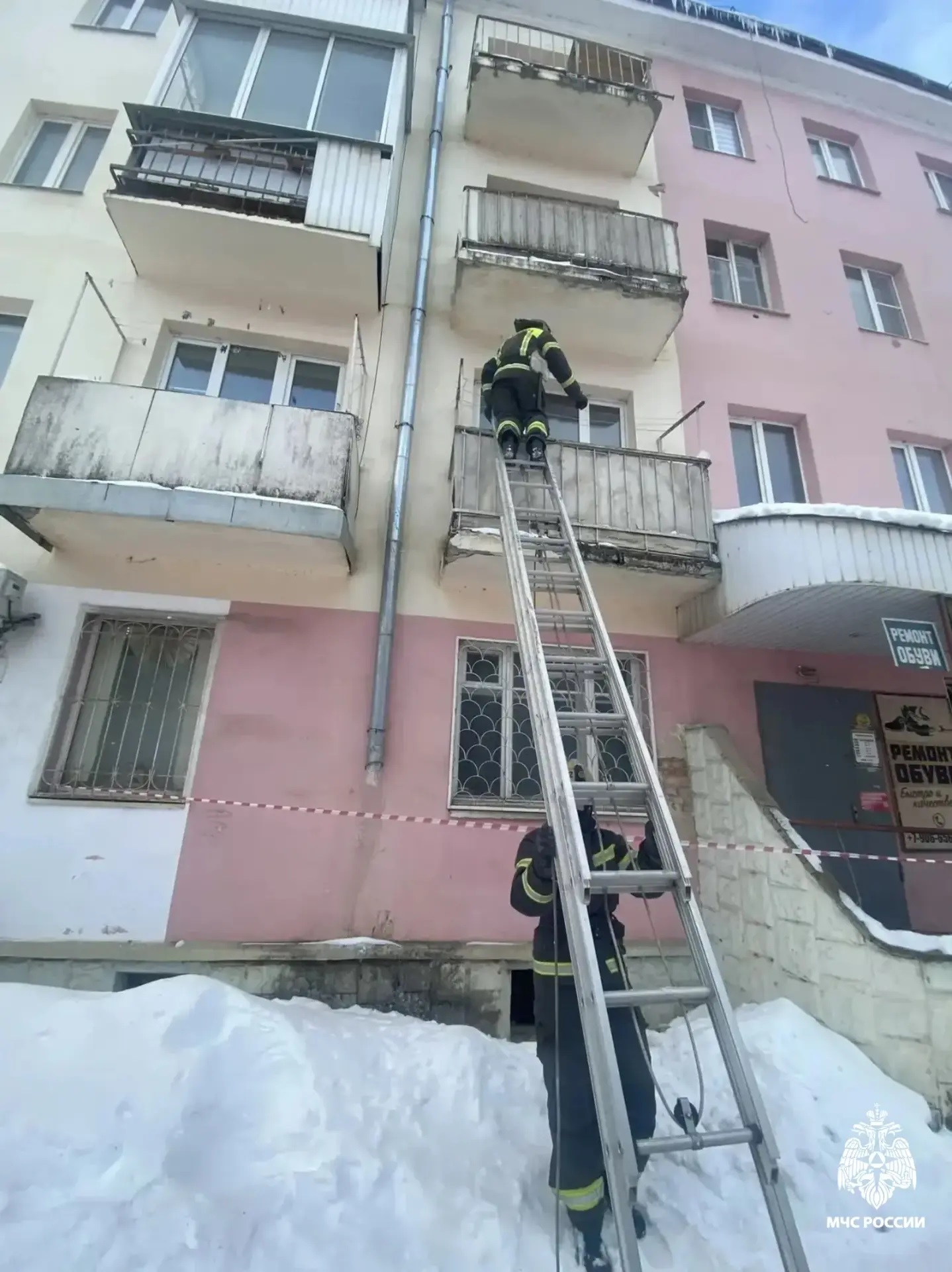 В Тверской области пожарные спасли кота, который два дня просидел на чужом балконе