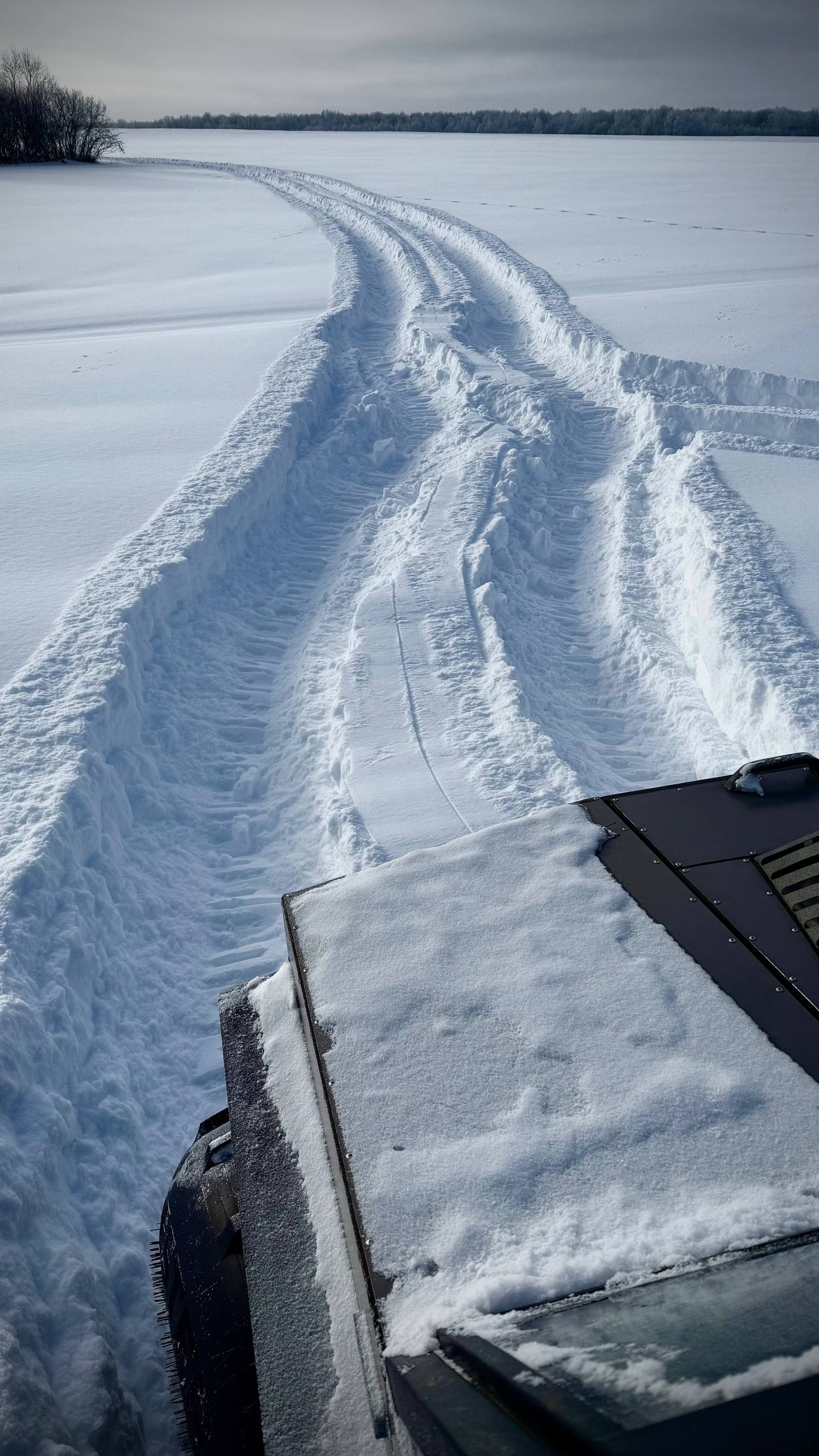 Поисковики искали бойцов под снегом в Тверской области