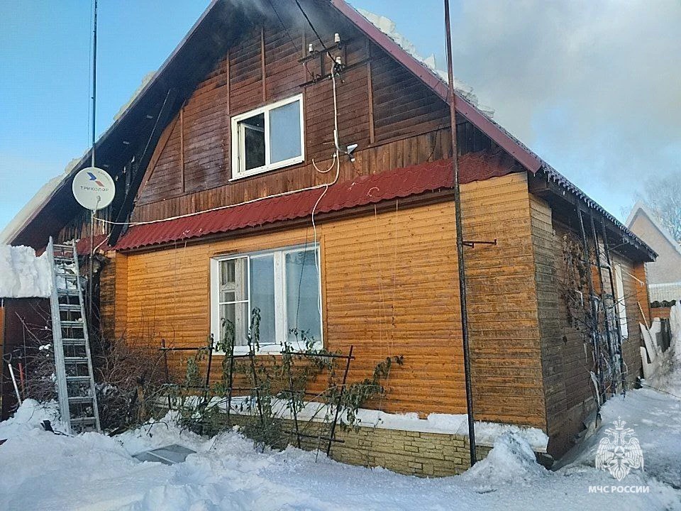 Из загоревшегося дома в Тверской области спасли собаку