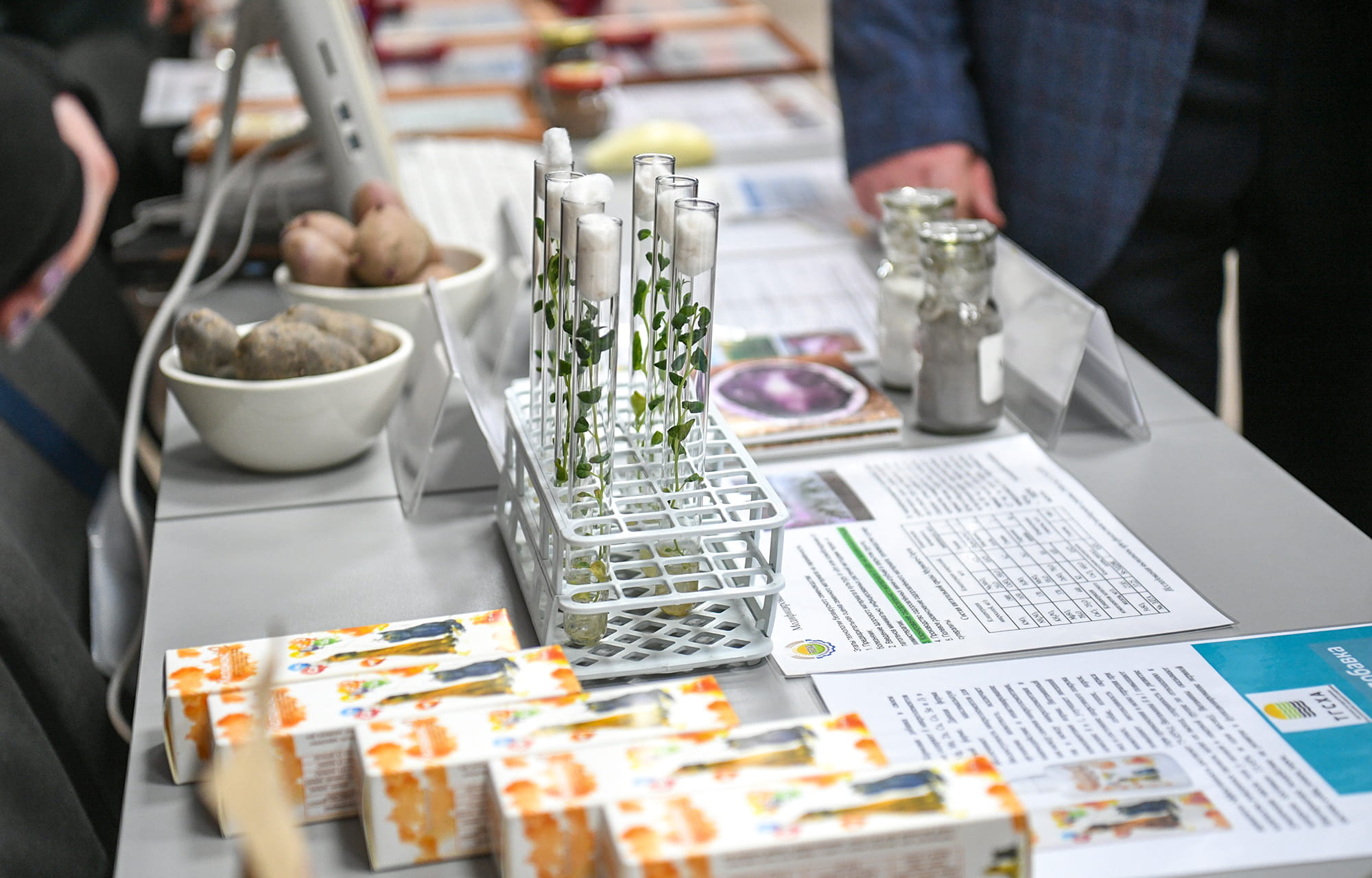 Виталий Королев определил приоритеты высшего образования в Тверской области