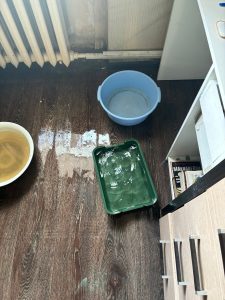 жительница