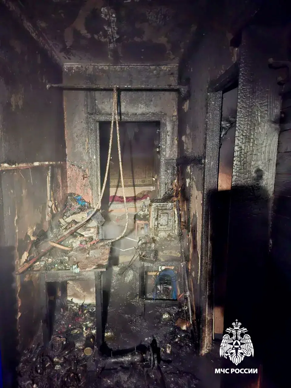 В Твери автобус “похитил” сумку пассажира