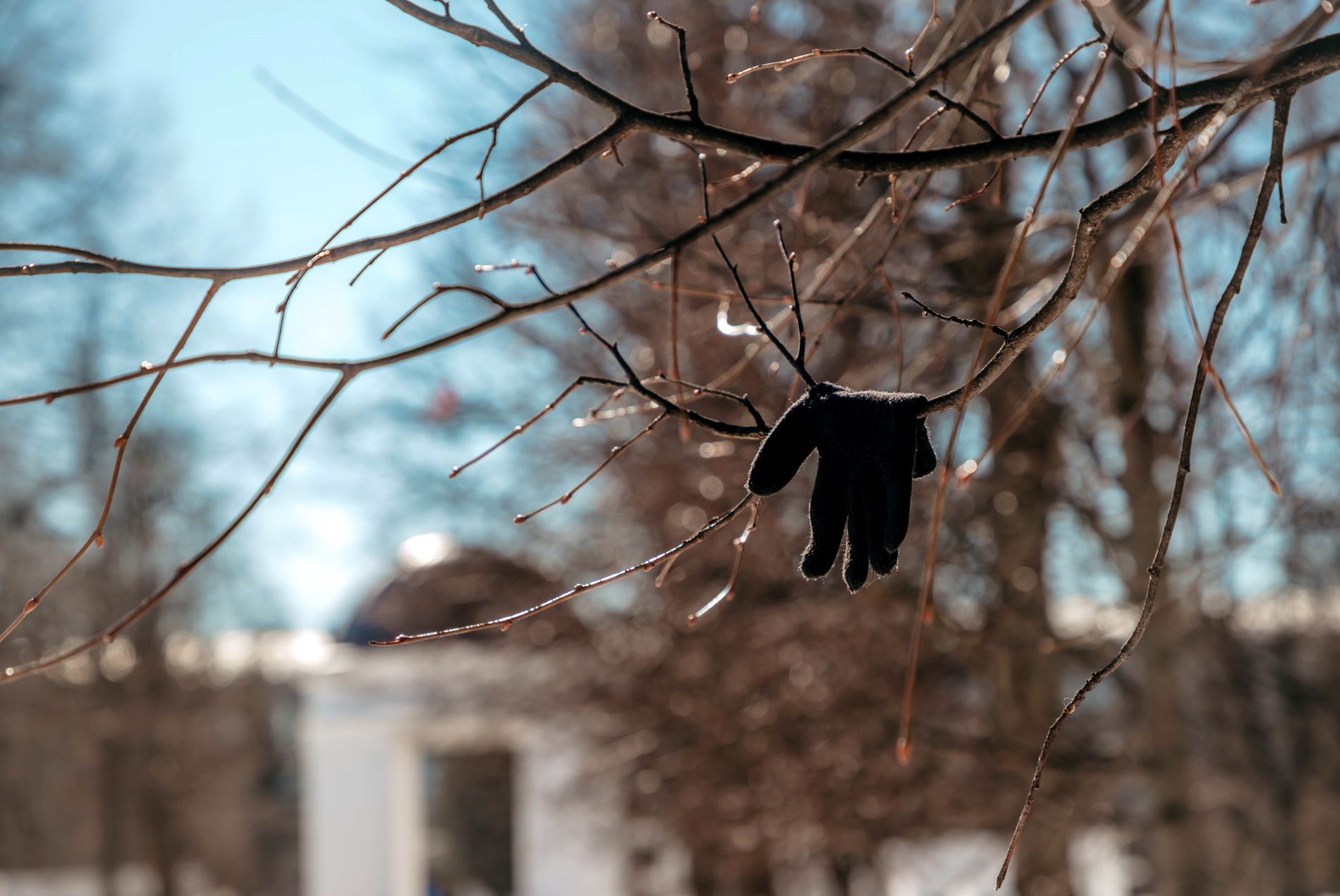 Снежное пришествие закончится потеплением: погода на неделю в Тверской области