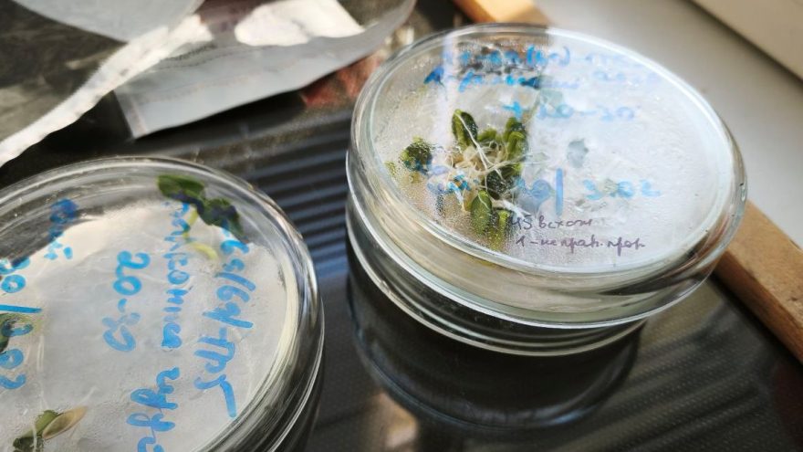 лаборатории