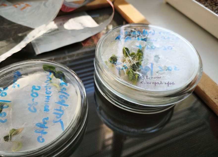 лаборатории