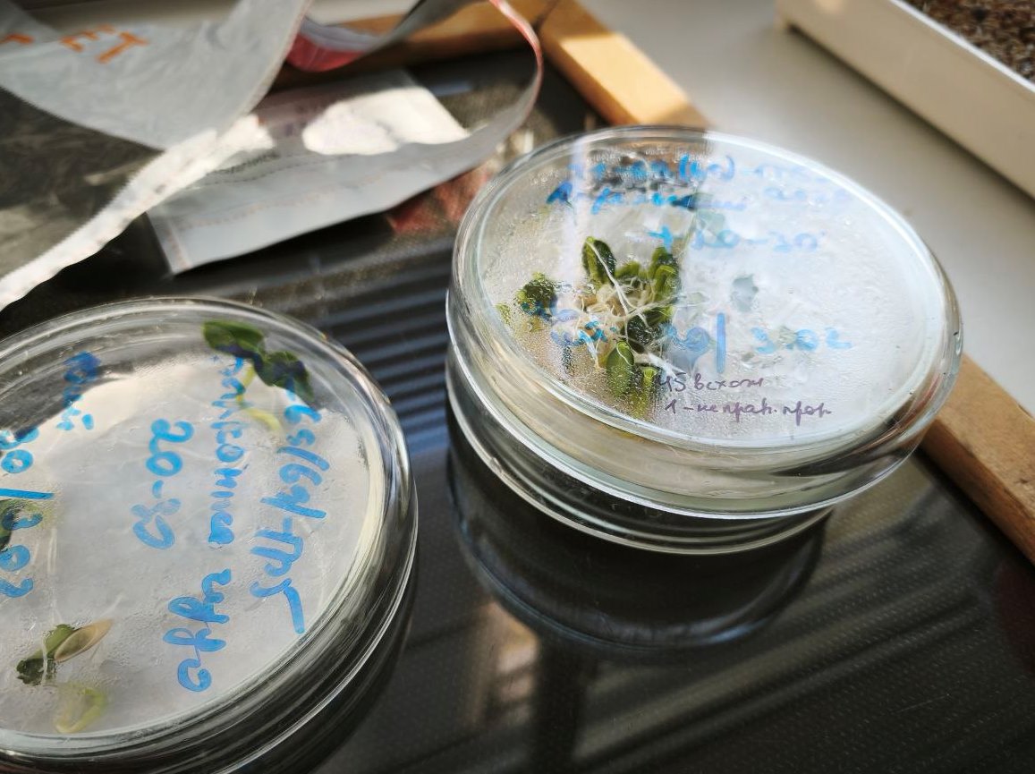 лаборатории