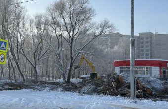 новый сквер