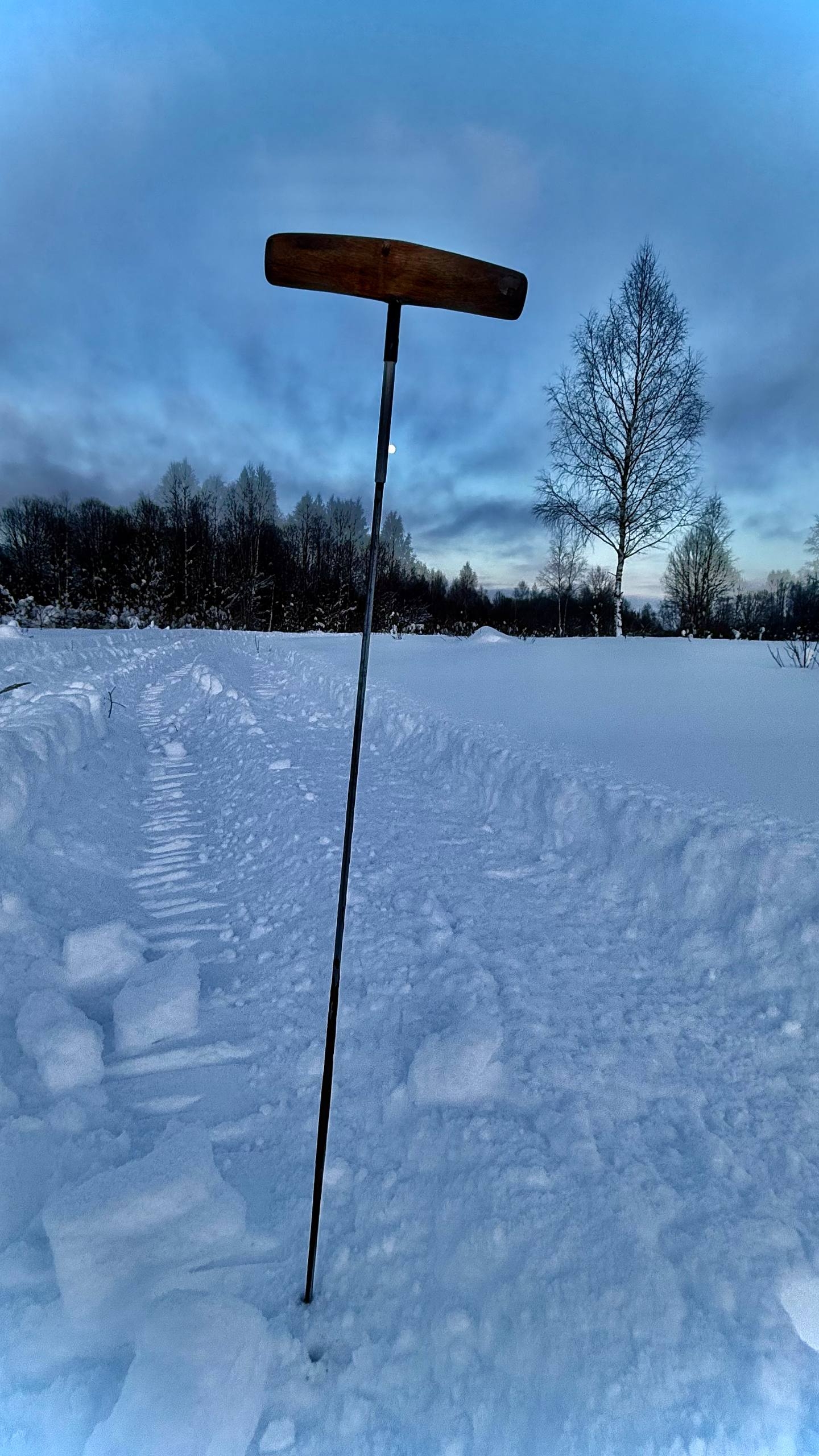 Поисковики искали бойцов под снегом в Тверской области