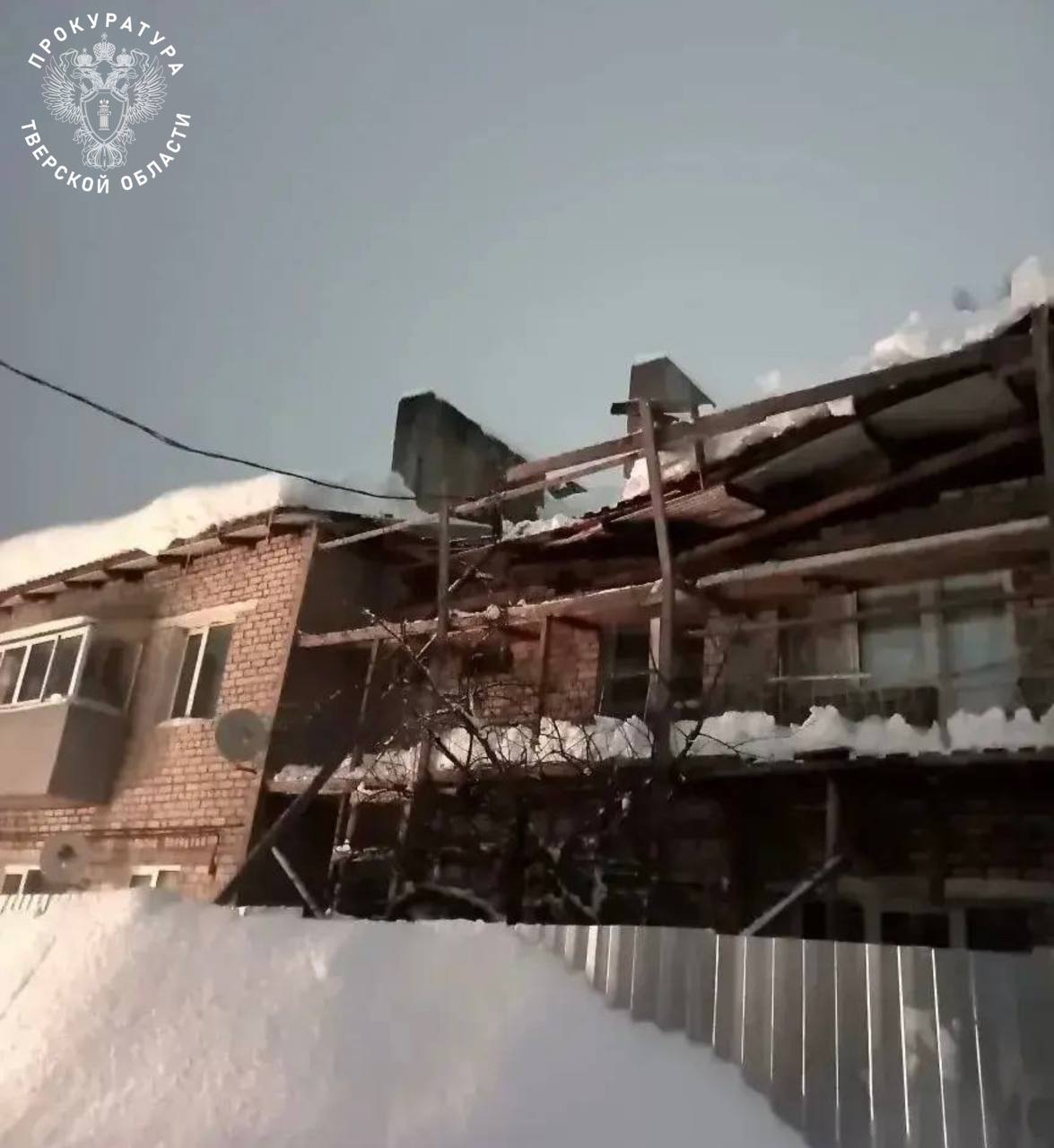 Овощной бунт в Тверской области: цены на свеклу и огурцы взлетели, опередив курицу и рыбу