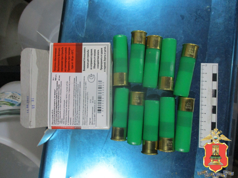 В Тверской области задержали двух мужчин, застреливших лося