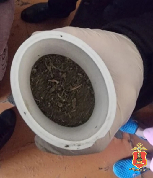 В Тверской области полицейские нашли у женщины марихуану
