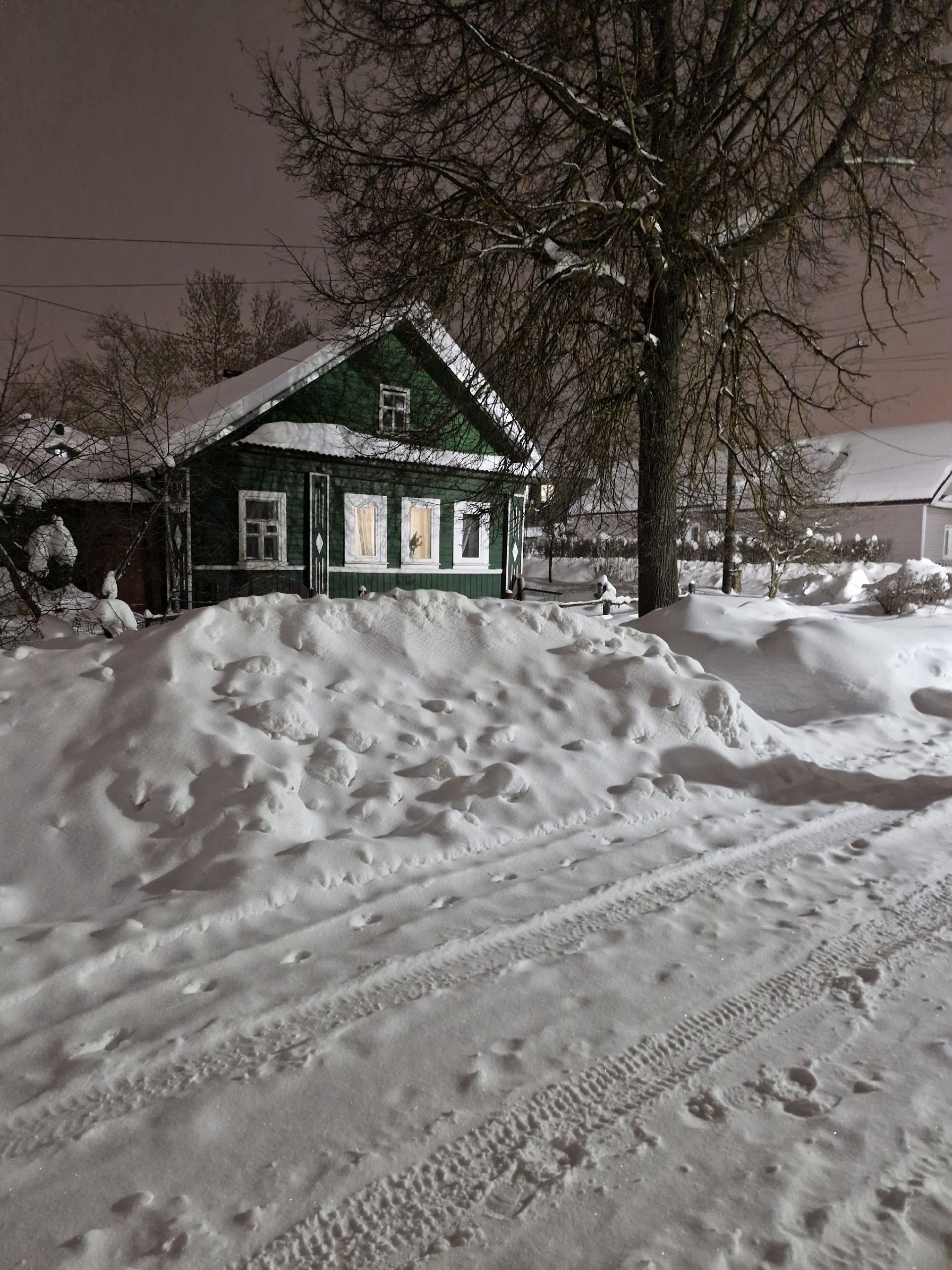 Из-за расчистки снега жительница Тверской области не может выйти из дома