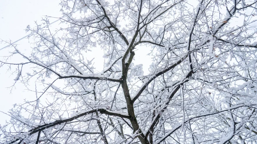 -27 градусов