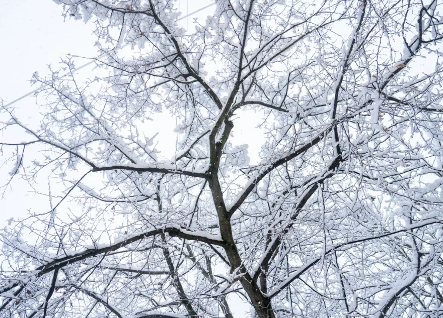 -27 градусов