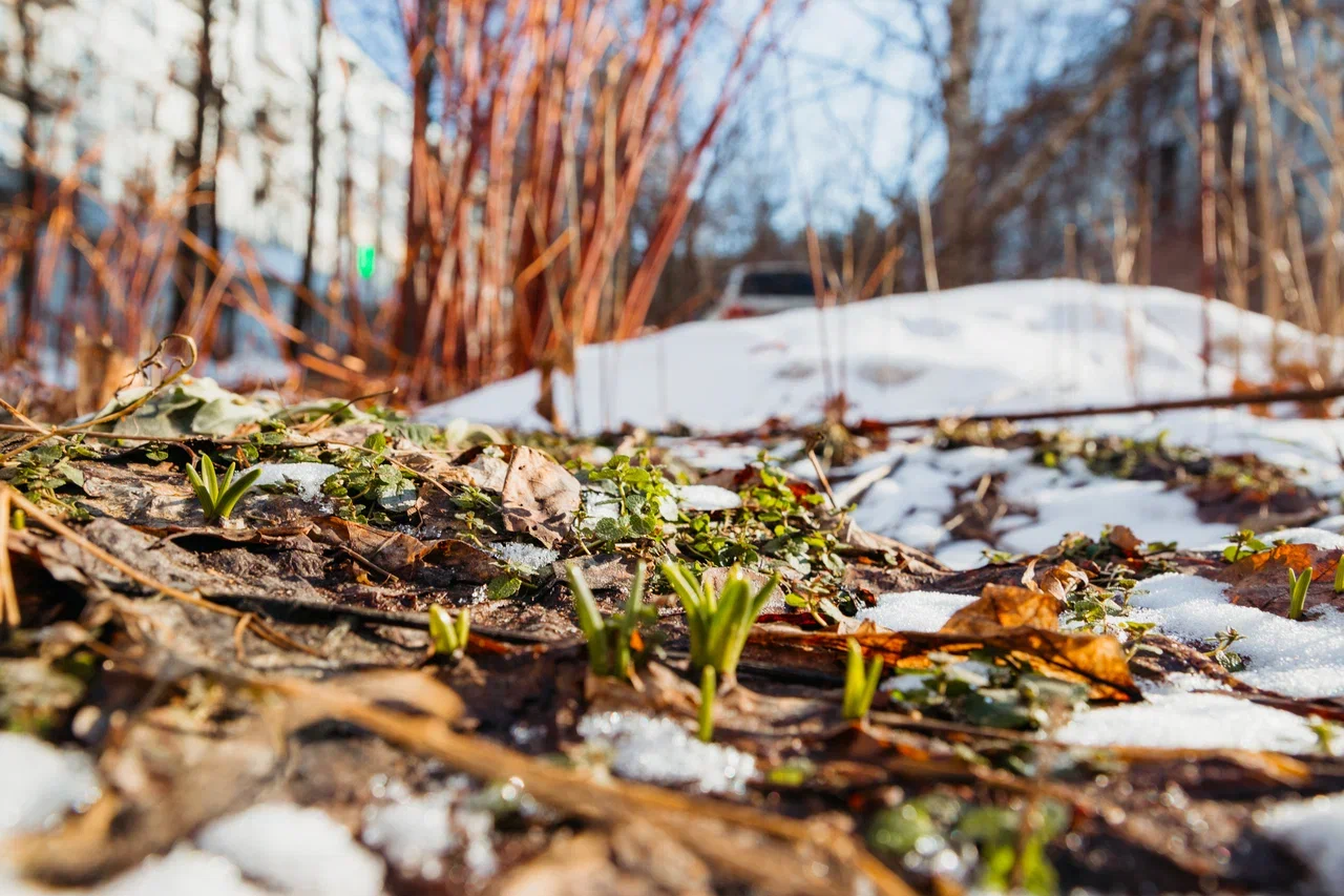 Работа тверитянки Елены Николаевой участвует в фотовыставке Russian Photo Awards